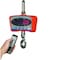 Brecknell CS2000 Crane Scale, 2,000 x 1 lb / 1000 x 0.5 kg w/remote control 816965001811 - alternate 3